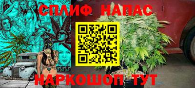 прущие грибы Малоярославец