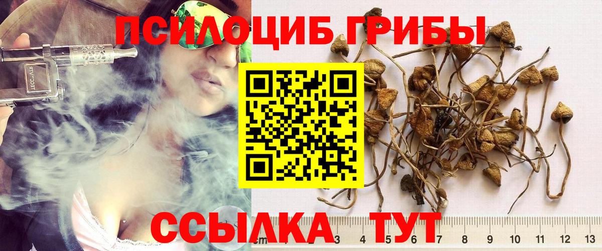 Галлюциногенные грибы прущие грибы  купить наркотик  Псилоцибиновые грибы Psilocybine cubensis  Пушкино  Вход с VPN 